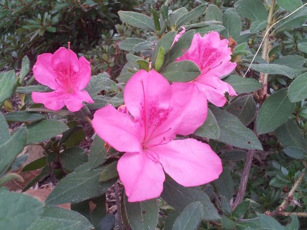 44749_10201639798550168_1059992964_n