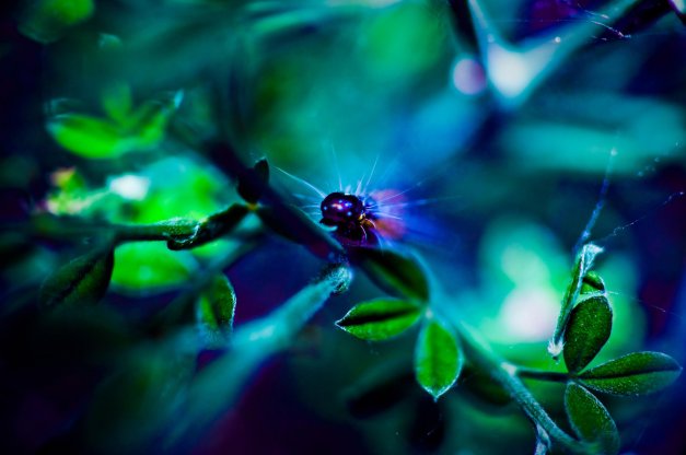 279666_10150376942771110_815866109_10185942_6446152_o