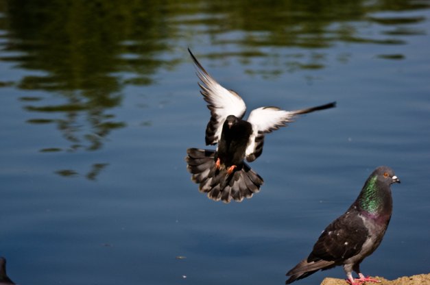 280959_10150384051181110_815866109_10248608_6062466_o