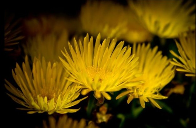 535611_10150986562641110_815866109_13037401_1455704319_n